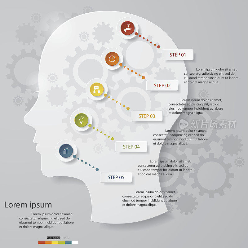 设计人的头部和大脑模板/图形5步图表。
